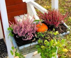 Herbstliche Deko Draussen Blumenkaesten Heidekraut Kuerbis Garten Herbstliche Deko Deko