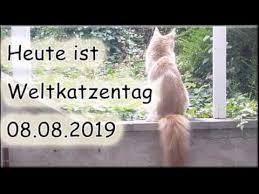 Es muss sein, heute ist schließlich der welttag der katze. Heute Ist Der Weltkatzentag 08 08 2019 Youtube
