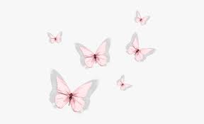Pink butterfly background in 2020 | iphone wallpaper … from i.pinimg.com a collection … Pink Aesthetic Butterfly Png Transparent Png Kindpng