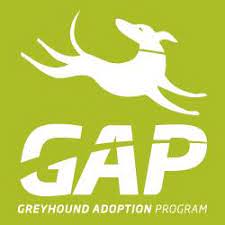 See full list on justforpets.com.au Greyhound Adoption Program Vic Home Facebook