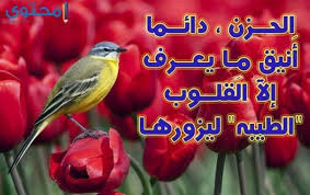 تنزيل برنامج خلفيات للايفون مجاني على اب ستور ايتونز بالاضافه الى عدم شغل مساحه كبيره على الهاتف , ويمكن استعماله عن طريق دائم لتحديثاته واصداراته الجديده , تحميل برنامج خلفيات للموبايل يتضمن خلفيات كثيره لجميع الفئات العمريه المختلفه , ابتداءً. ØµÙˆØ± ÙÙŠØ³ Ø¨ÙˆÙƒ 2021 Ø§Ø¬Ù…Ù„ ØµÙˆØ± ÙÙŠØ³Ø¨ÙˆÙƒ Ø¬Ø¯ÙŠØ¯Ù‡ Ù…ÙˆÙ‚Ø¹ Ù…Ø­ØªÙˆÙ‰