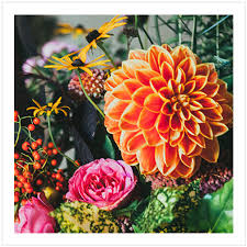 Central square florist is a trusted local florist, delivering flowers and gifts to lexington, massachusetts and surrounding areas. Best Of Flowers