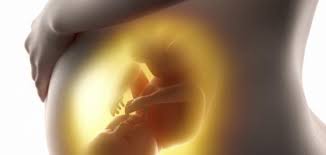 أسباب جفاف ماء الجنين موضوع