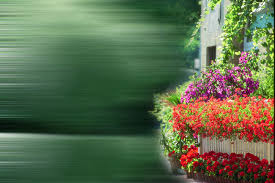 Free for commercial use high quality images Background Images Free Download Freewalldroid