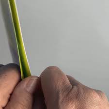 Hello guys today watching the video first of all i will be teaching you how to make a card a fly and fly around a corner and so first of. How To Make Exploding Cards As The Bunny Hops