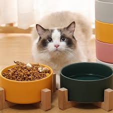 A wide variety of cat pet bowl stand options are available to you, such as power source, material, and feature. Pet Ceramic Bowl With Bamboo Stand Cat Bowl Dog Bowl Pet Drinking Bowl Food Container Cat And Dog Feeding Supplies Katzen Futter Und Wasserversorgung Aliexpress