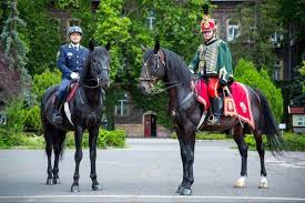 The national police corps (spanish: A Noniusz Sokszor Bizonyitotta Mar Rendori Ratermettseget Nemzeti Menesbirtok Es Tangazdasag Zrt