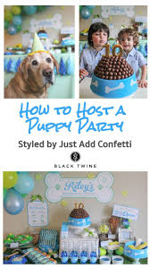 How To Host A Puppy Birthday Party Styled By Just Add Confetti Black Twine Birthdayparty Partyideas P Puppy Birthday Dog Birthday Party Dog First Birthday