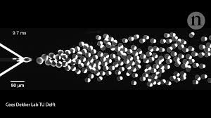 An endangered species can be defined as species that is according to the international union for conservation of nature, while in 1998, 1102 animals and 1197 plants have. How Biologists Are Creating Life Like Cells From Scratch