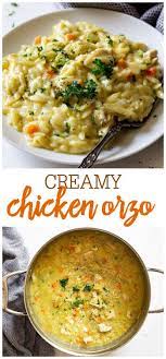 Creamy Chicken Orzo Recipe Dairy Free Lil Luna Recipe Orzo Dinner Recipes Chicken Orzo Pasta Dishes