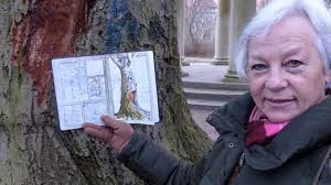 Buche Schlossgarten Eutin gefällt