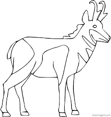 The trinket can be bought by the player after they have sold the legendary pronghorn horn to a fence. Easy Pronghorn Coloring Page Coloringall