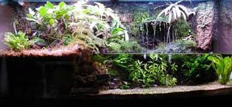 Paludarium Construction Photo Journal The Planted Tank Planted Aquarium Biotope Aquarium Aquascape Aquarium