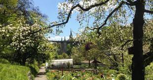Fast alle bilder dieser galerie entstanden im laufe mehrerer makrofotografiekurse jeweils im botanischen garten in bern (boga). Die 10 Schonsten Botanischen Garten Der Schweiz Suissebook Die Schweiz Das Schonste Land Der Welt