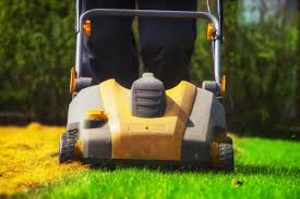 The first step is mow your lawn shorter. Aerate Overseed Above Beyond Cgm