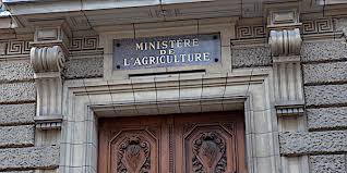 Société nationale d'exploitation et de distribution des eaux. Remaniement Le Futur Ministre De L Agriculture Sera T Il Ecologiste