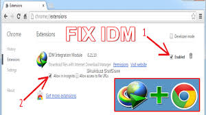 The internet download manager (idm) is one of the most popular downloading tools available for the windows users. How To Manually Add Internet Download Manager Extension To Google Chrome 2017 Youtube