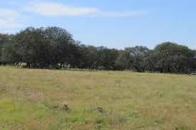 More images for how much does land cost in texas » Land For Sale Property For Sale In Texas Lands Of America