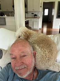 All the different ways scooby and Velma have slept just today 😂😭 The  sleeping chronicles pt 8