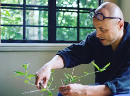 z zfnchn instagram 照片和视频