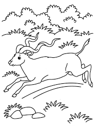 Antelope Running Kids Animal Printable Coloring Pages Desert Animals Coloring Animal Coloring Books Animal Coloring Pages