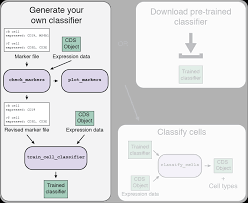 Common Carriage Flow Chart Private Vs Garnett 1b Train Your