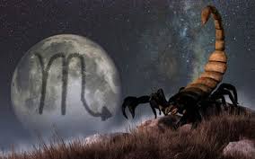 Scorpios work best when they take on solo projects. Highs And Lows Of The Cancer Scorpio Love Match