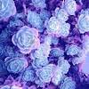 Blue and white flowers, flower floral design, flower, blue, flower arranging png. 3