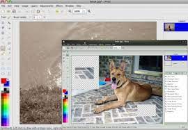 However, it is even better than its other competitors. Pinta Es El Paint Net De Linux Y Mac Os X