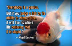If you have a dream, don't just sit there. 29 Fish Quotes Ideas Quotes Fishing Quotes Fish