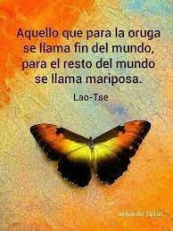 De Oruga A Mariposa Frases De Lectura Frases Lecciones De Vida