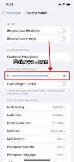 Cara Atur (Mematikan/Memperbesar) Suara Keyboard iPhone dan iPad | PUKEVA
