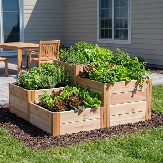 Cedar Garden Kits