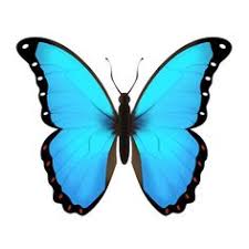 Butterfly Emoji Yahoo Image Search Results Blue Emoji Blue Butterfly Cute Emoji Wallpaper