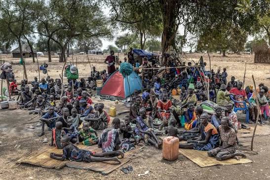 The United Nations High Commissioner for Refugees (#UNHCR) has warned of a  serious protection crisis in eastern South Sudan, where ongoing insecurity  has displaced hundreds of thousands of people. In Jonglei State,