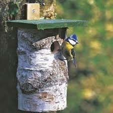Birch Log 32mm Nest Box Bird Houses Nesting Boxes Common Garden Birds