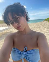 Она имеет мексиканские, кубинские и американские корни. Camila Camila Cabello Twitter