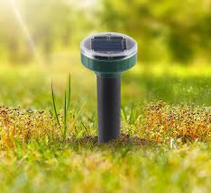 Image result for Schéma plašiče krtků