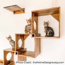 The busy cat is hexagonal in shape, allowing for the ability to used alone, or to build a modular wall mounted system. 17 Best Cat Shelves And Wall Perches That Are Purrfect
