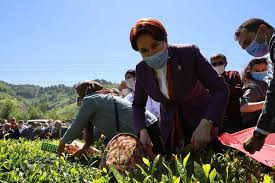 İyi̇ parti genel başkanı meral akşener, rize i̇kizdere ziyaretinde bir kadınının kendisine hdp ile ittifak yaptıkları için tepki göstermesine hadi oradan diyerek karşılık verdi. T8rlixc6zvuugm