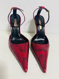 Image result for Gerardiina