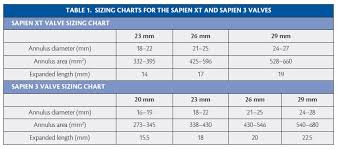 cardiac interventions today sapien valve past present