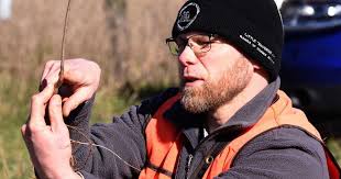 As northern Michigan warms, scientists bring tree seedlings from the south 