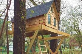 Every kid would love a backyard tree house, so you get to be the hero! The Best Treehouse Kits Plans Blueprints And Books Fatherly