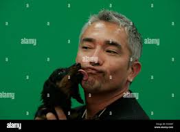 Sowards hi-res stock photography and images