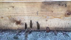 Image result for site:byggahus.se effektivt