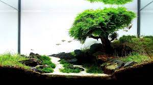 List of best substrates for planted aquariums is sand a good substrate for aquariums? Aquascaping Elements Planted Aquarium Substrate Aquascaping Love
