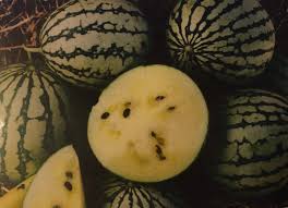 Golden Watermelon