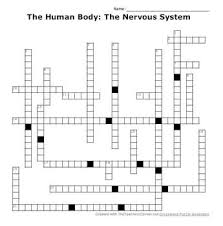 We did not find results for: Nervous System Crossword Worksheets Teaching Resources Tpt