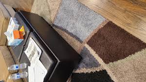 See more ideas about rug over carpet, rugs on carpet, living room carpet. S5 Max Avoid Black Long Hair Carpets Roborock Forum